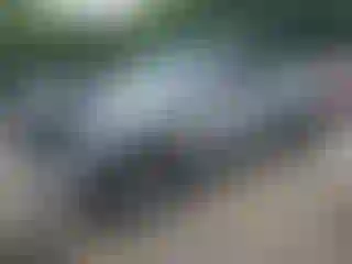 Vehicle Image- 2024 Toyota Tacoma