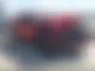Vehicle Image- 2024 Toyota Tacoma