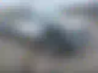 Vehicle Image- 2024 Toyota Tacoma