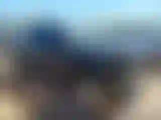 Vehicle Image- 2024 Toyota Tacoma