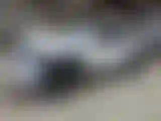 Vehicle Image- 2024 Toyota Tacoma
