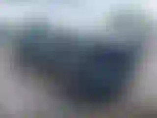 Vehicle Image- 2024 Toyota Tacoma