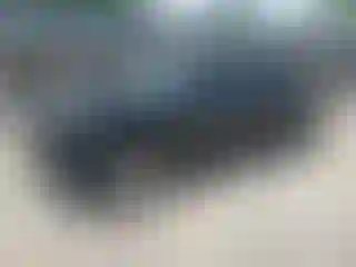 Vehicle Image- 2024 Toyota Tacoma