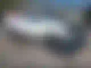 Vehicle Image- 2021 Toyota Tacoma