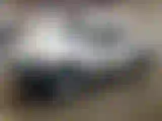 Vehicle Image- 2021 Toyota Tacoma