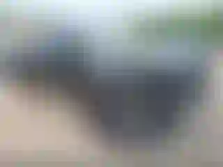 Vehicle Image- 2020 Toyota Tacoma