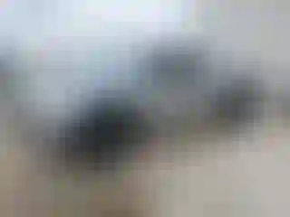 Vehicle Image- 2022 Toyota Tacoma
