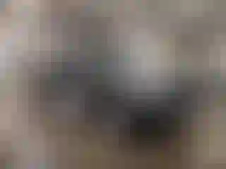 Vehicle Image- 2022 Toyota Tacoma