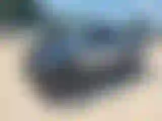 Vehicle Image- 2022 Toyota Tacoma