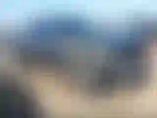 Vehicle Image- 2022 Toyota Tacoma