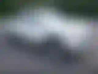 Vehicle Image- 2021 Toyota Tacoma