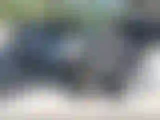 Vehicle Image- 2022 Toyota Tacoma