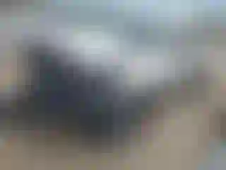 Vehicle Image- 2023 Toyota Tacoma