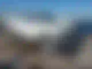 Vehicle Image- 2021 Toyota Tacoma