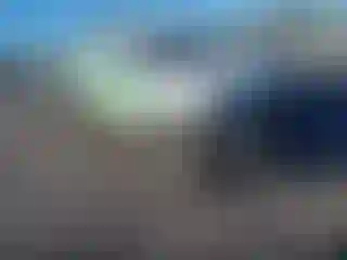 Vehicle Image- 2021 Toyota Tacoma