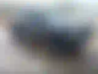 Vehicle Image- 2022 Toyota Tacoma