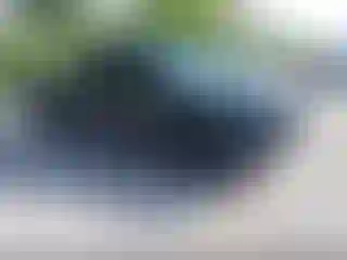 Vehicle Image- 2021 Toyota Tacoma