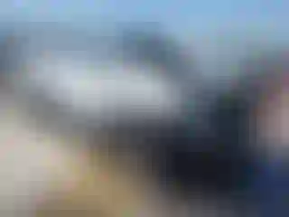 Vehicle Image- 2023 Toyota Tacoma