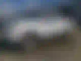 Vehicle Image- 2022 Toyota Tacoma