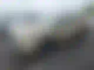 Vehicle Image- 2020 Toyota Tacoma