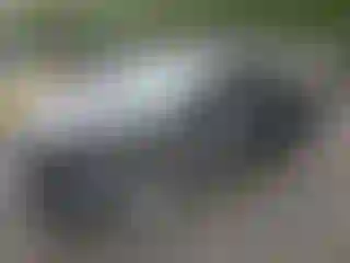 Vehicle Image- 2023 Toyota Tacoma