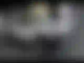 Vehicle Image- 2022 Toyota Tacoma