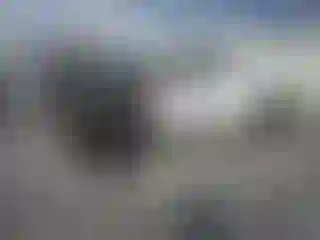 Vehicle Image- 2021 Toyota Tacoma