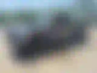 Vehicle Image- 2020 Toyota Tacoma