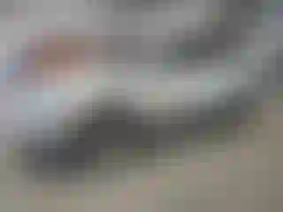 Vehicle Image- 2019 Volkswagen Tiguan