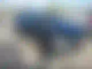 Vehicle Image- 2021 Volkswagen Tiguan