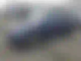 Vehicle Image- 2021 Volkswagen Tiguan