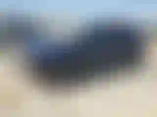 Vehicle Image- 2021 Volkswagen Tiguan