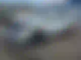 Vehicle Image- 2022 Volkswagen Tiguan