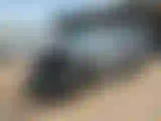 Vehicle Image- 2021 Volkswagen Tiguan