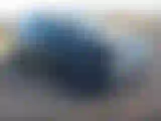 Vehicle Image- 2021 Volkswagen Tiguan