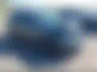 Vehicle Image- 2019 Volkswagen Tiguan