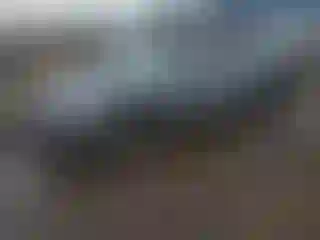 Vehicle Image- 2020 Volkswagen Tiguan