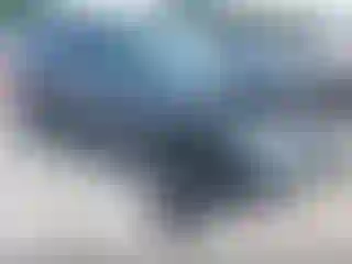 Vehicle Image- 2022 Volkswagen Tiguan