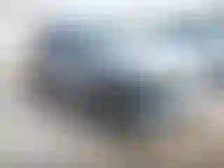 Vehicle Image- 2020 Volkswagen Tiguan