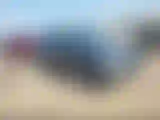 Vehicle Image- 2018 Volkswagen Tiguan