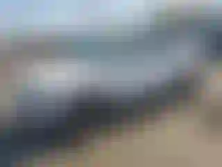 Vehicle Image- 2021 Volkswagen Tiguan