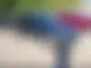 Vehicle Image- 2023 Volkswagen Tiguan