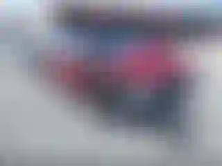 Vehicle Image- 2021 Volkswagen Tiguan