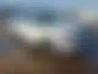 Vehicle Image- 2019 Volkswagen Tiguan