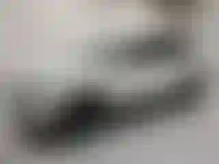 Vehicle Image- 2023 Volkswagen Tiguan