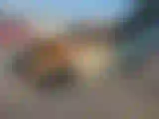 Vehicle Image- 2021 Volkswagen Tiguan