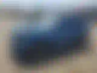Vehicle Image- 2020 Volkswagen Tiguan