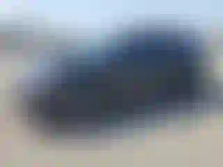 Vehicle Image- 2022 Volkswagen Tiguan