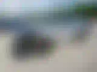 Vehicle Image- 2022 Volkswagen Tiguan