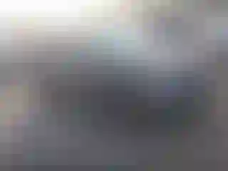 Vehicle Image- 2024 Volkswagen Tiguan